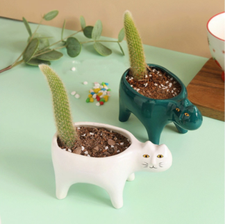 Cute Cat Ceramic Flower Pot, White