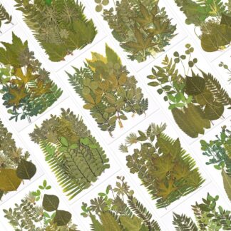 21Pcs/Bag Natural Plant Dried Flower Green Leaves