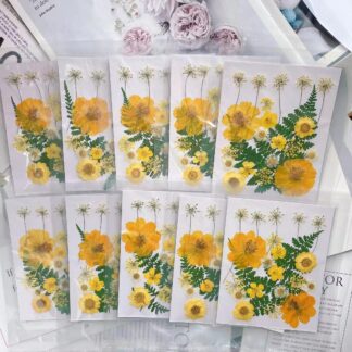 22pcs/set Pressed Dried Flower Leaf Plant Herbarium