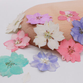 60pcs Pressed Dried Consolida Ajacis Flower Herbarium