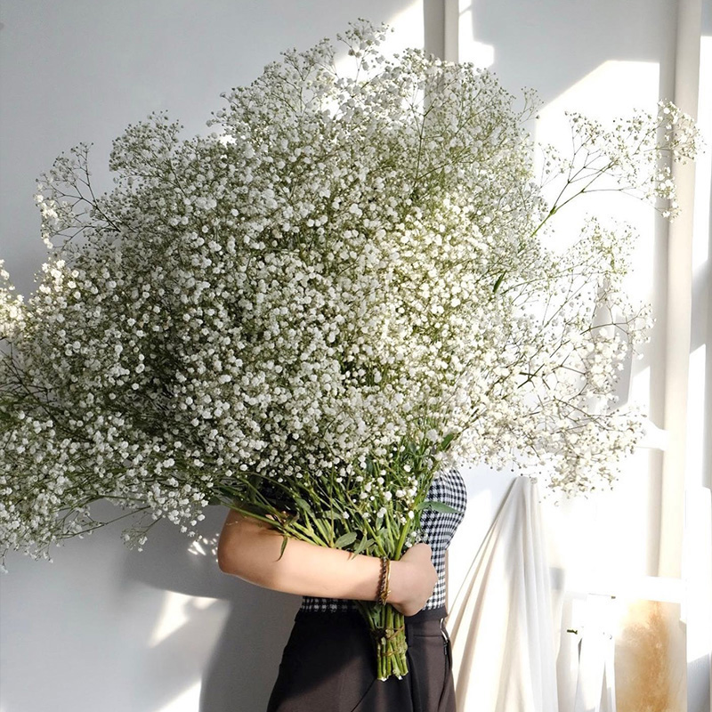 Baby's Breath Dried Artificial Flowers