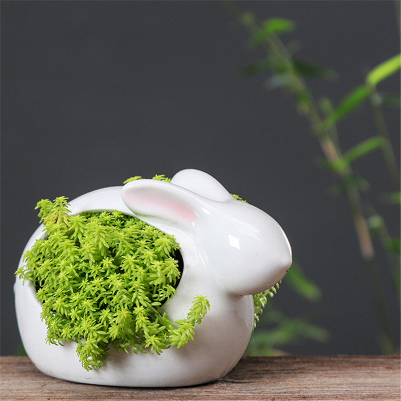 3 PCS Ceramic Cartoon Rabbits Flowerpot For Succulents - Image 4