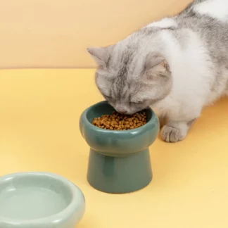 Cat High Foot Ceramics Bowls Feeder