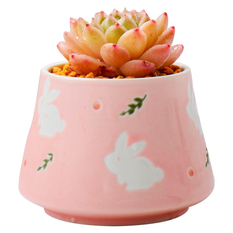 4PCS/Set Ceramic Cute Pink Rabbit Flower Pot - Image 5