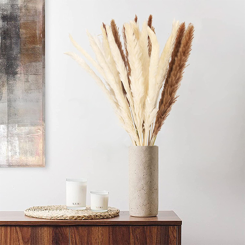Natural Dried Flowers Bouquet Phragmites Pampas Grass - Image 4