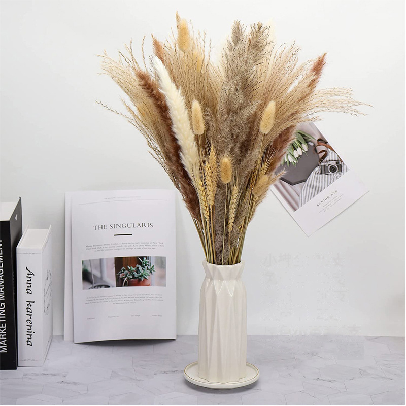 Natural Dried Flowers Bouquet Phragmites Pampas Grass - Image 5