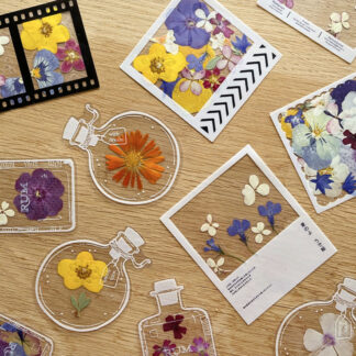 Dried Flower Transparent Small Bottle Bookmarks