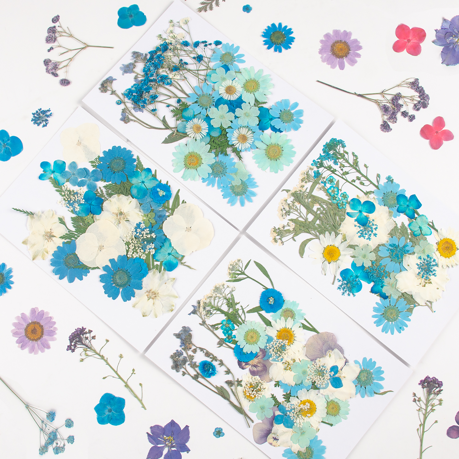 Dried Flowers Real Natural Plant Pressed Flower - Image 2