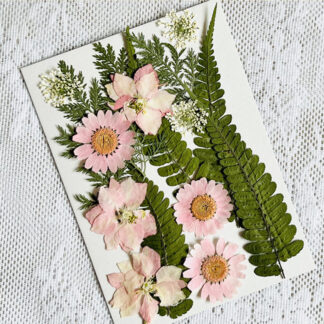 Dried Pressed Pink Flower Dry Plants