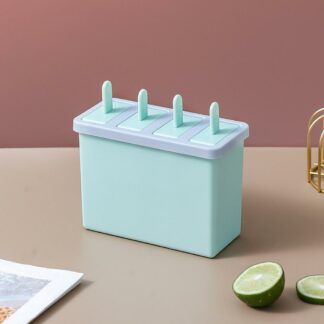 Durable Plastic Ice Cream Mold Compartment Tray