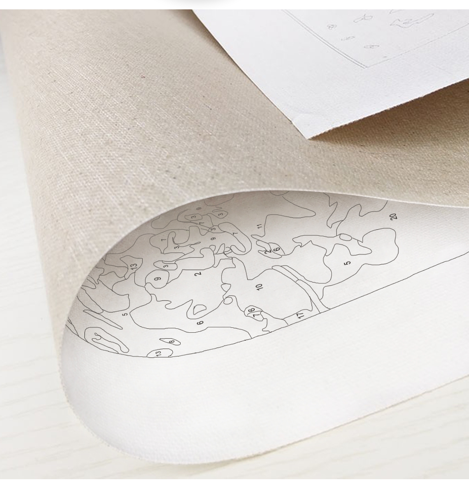 Blue Flowers Acrylic Paint Drawing By Numbers On Canvas - Image 2