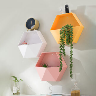 Plastic Hexagonal Wall Mounted  Storage Box