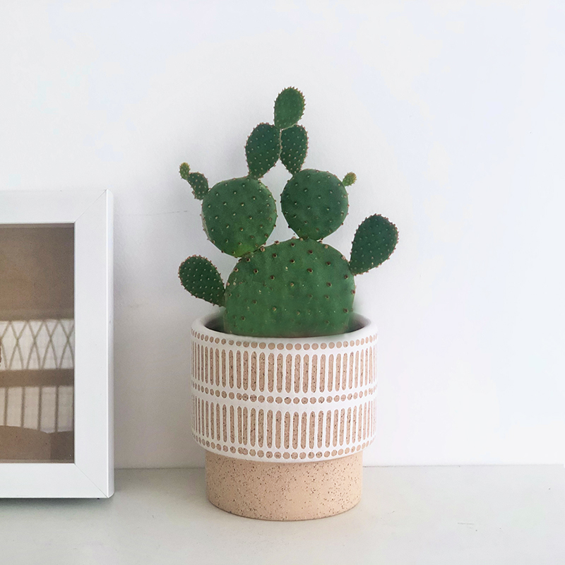 Ceramic Nordic Ins Flower Pot For Succulents - Image 2