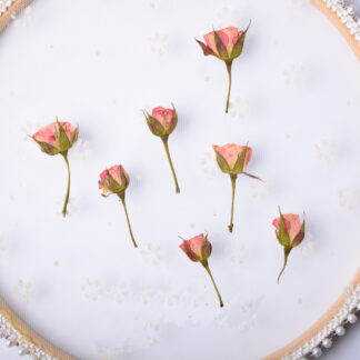 12pcs Pressed Dried Rose Flower Plants Herbarium