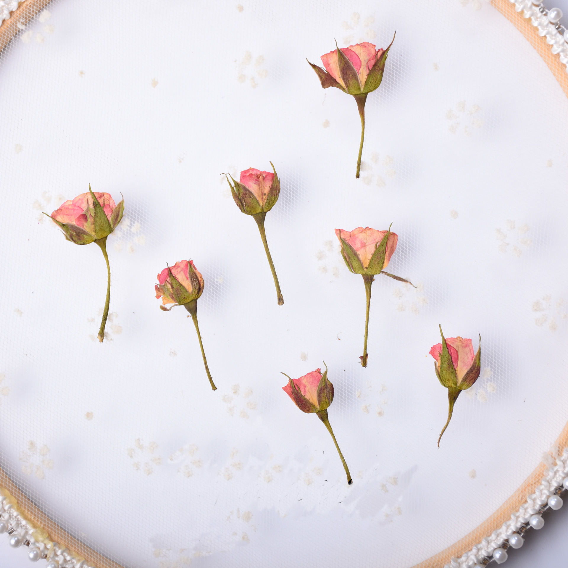 12pcs Pressed Dried Rose Flower Plants Herbarium