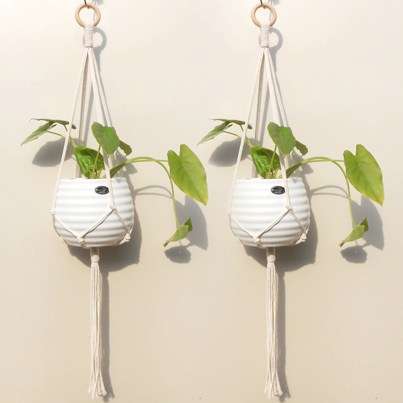 Macrame Plant Hanger - Image 2