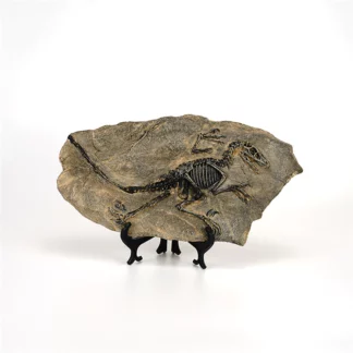 Resin Dinosaur Fossil Figurines Retro Animal Statue Miniature