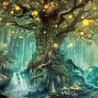 Painting By Numbers Magic Forest Ancient Trees