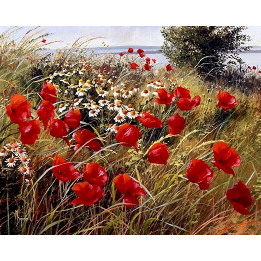 Painting By Numbers, Red Flowers Garden