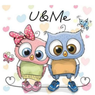 Cartoon Painting By Numbers, Cute Owl Couples