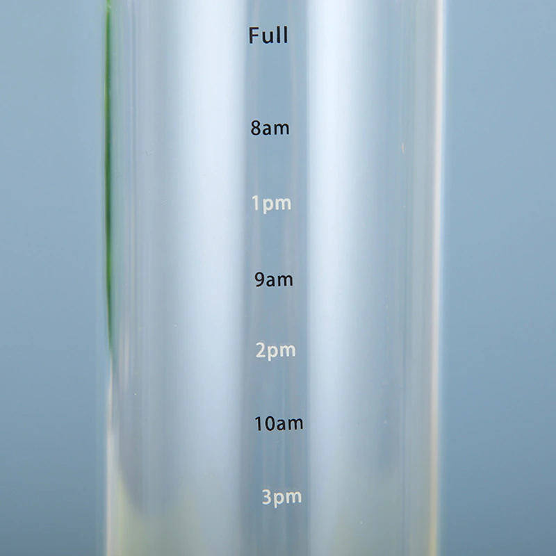 Large Capacity Glass Water Bottle With Time Marker Cover - Image 5