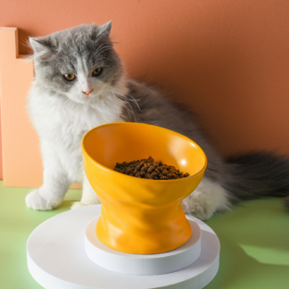 Elevated Cat Ceramic Bowl Pet Food Water Feeding Bowls Yellow