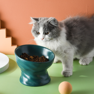 Elevated Cat Ceramic Bowl Pet Food Water Feeding Bowls Green