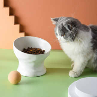 Elevated Cat Ceramic Bowl Pet Food Water Feeding Bowls White