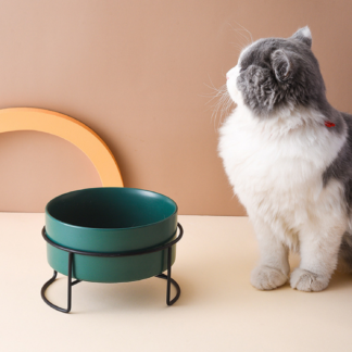 1800ml Dogs Food Water Bowls with Stand