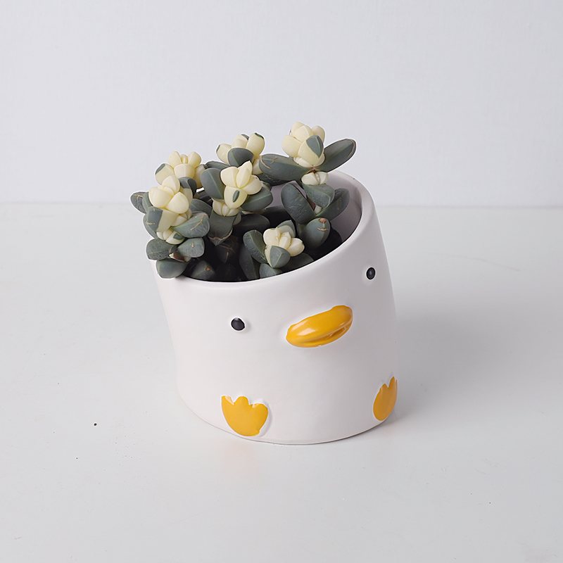 Cute Cartoon Animal Flower Pot Desktop Balcony Succulent Planting Flowerpot Decoration, Duck - Image 3