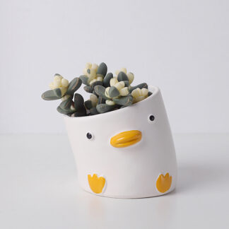 Cute Cartoon Animal Flower Pot Desktop Balcony Succulent Planting Flowerpot Decoration, Duck