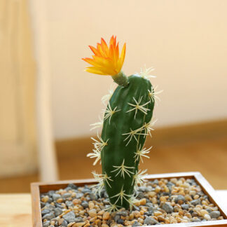 Small Artificial Cactus For Window Garden Decoration