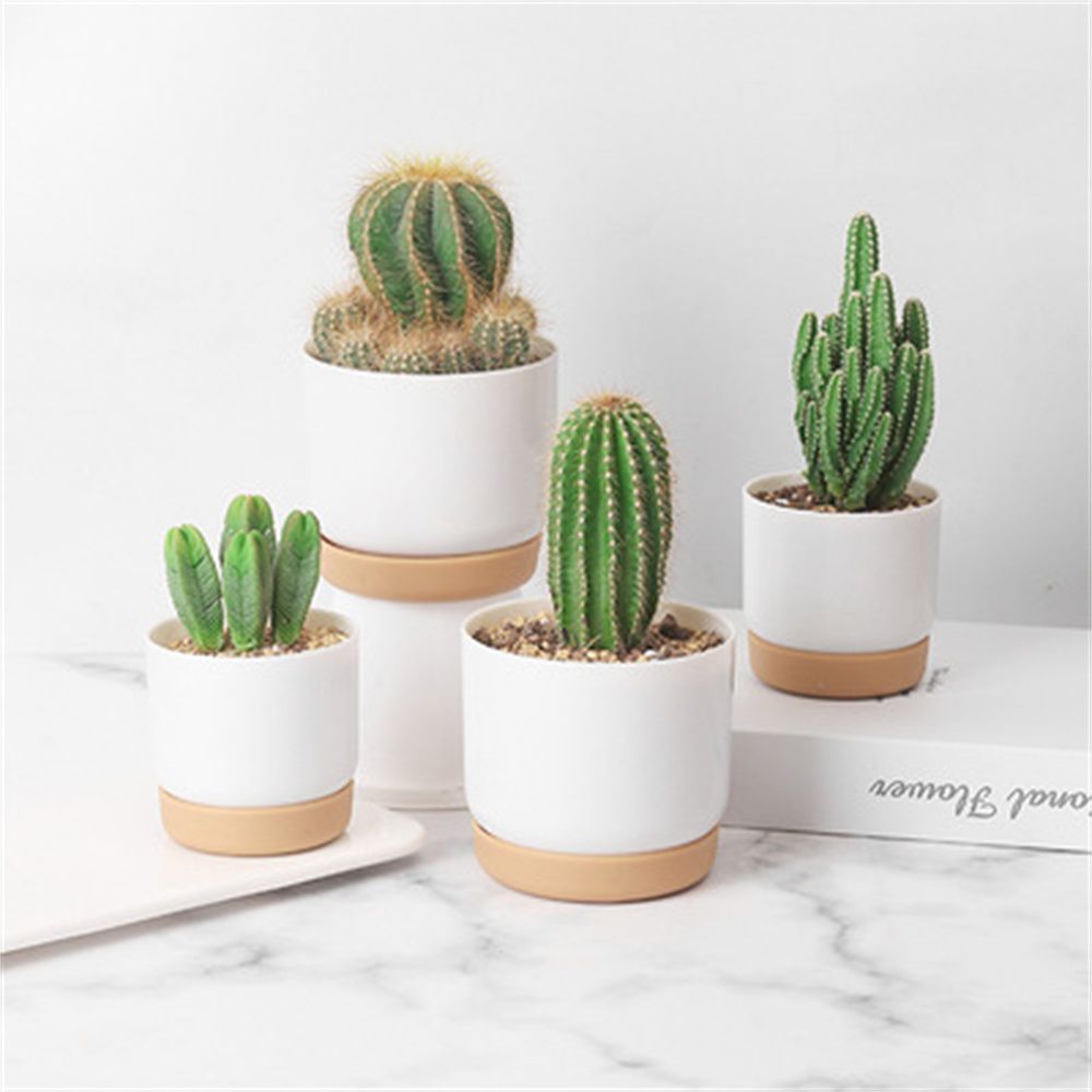 2PCS/Set Indoor Garden Cactus Pot With Drainage Hole - Image 4