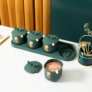 1 Set Salt Spice Jar Seasoning Containers With Spoon