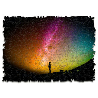 300PCS Irregular Starry Wooden Jigsaw Puzzle DIY Toy