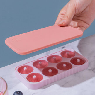 Copper Money 8 Grid Silicone Ice Mold Frozen Popsicle Ice Box