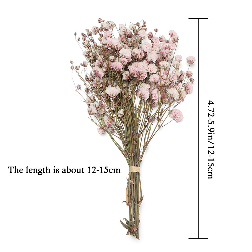 Natural Dried Bouquets Real Flower Plant Stems Mini Babysbreath - Image 2