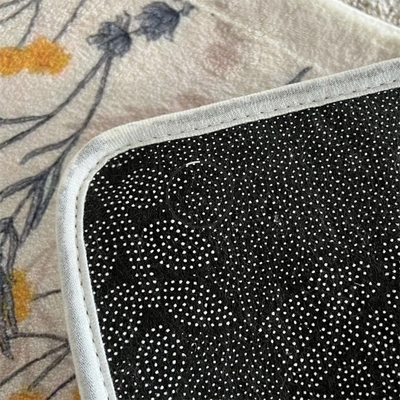Morandi Style Non-Slip Microfiber Door Mat - Image 3