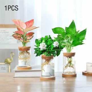 1PC Terrarium Glass BottleHydroponic Plant Pot with Wooden Cork for Home Decor