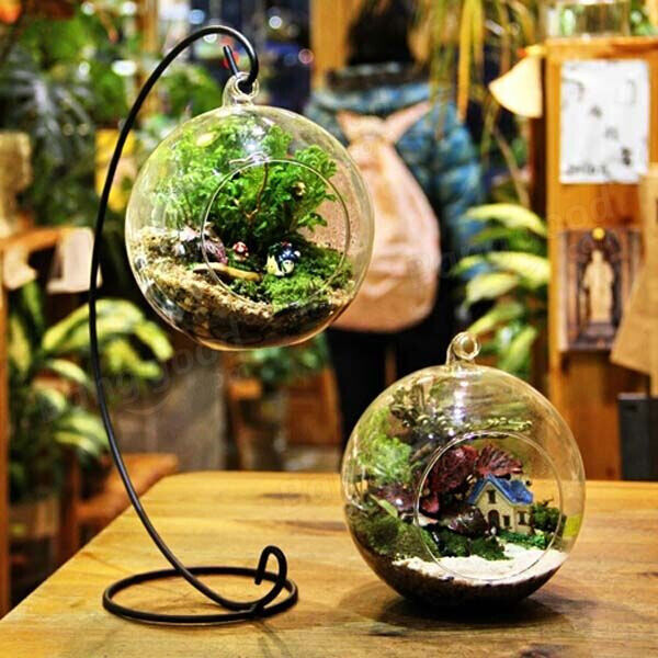 Clear Flower Hanging Ball Vase Planter Terrarium Container Borosilicate Glass - Image 2