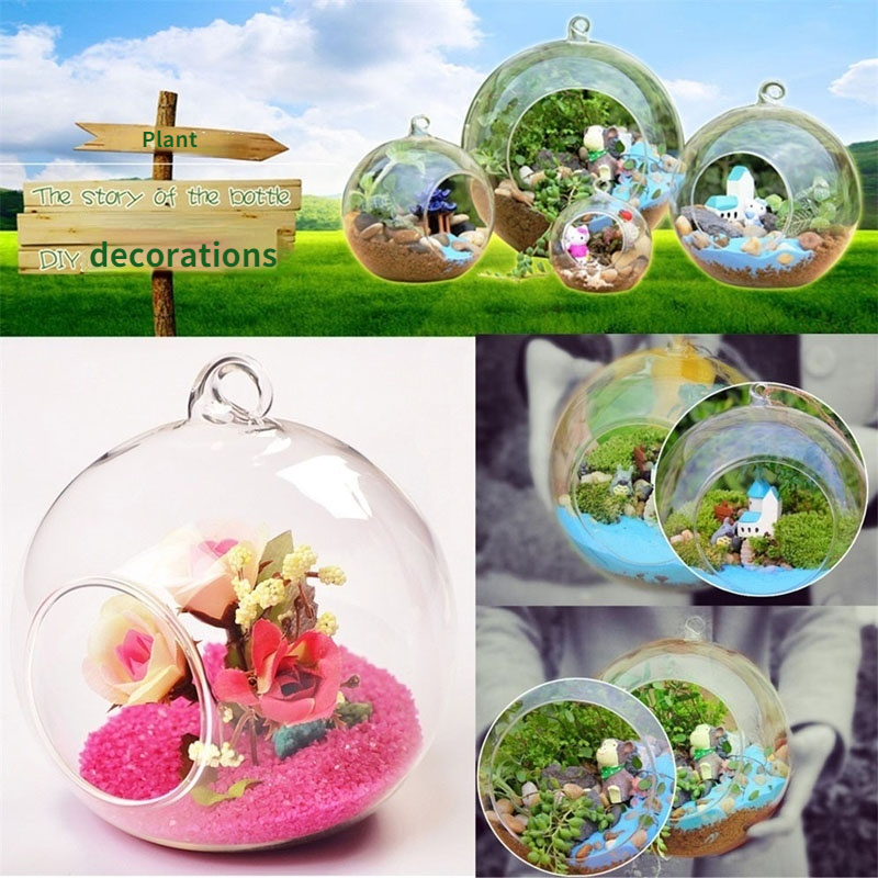 Clear Flower Hanging Ball Vase Planter Terrarium Container Borosilicate Glass - Image 4