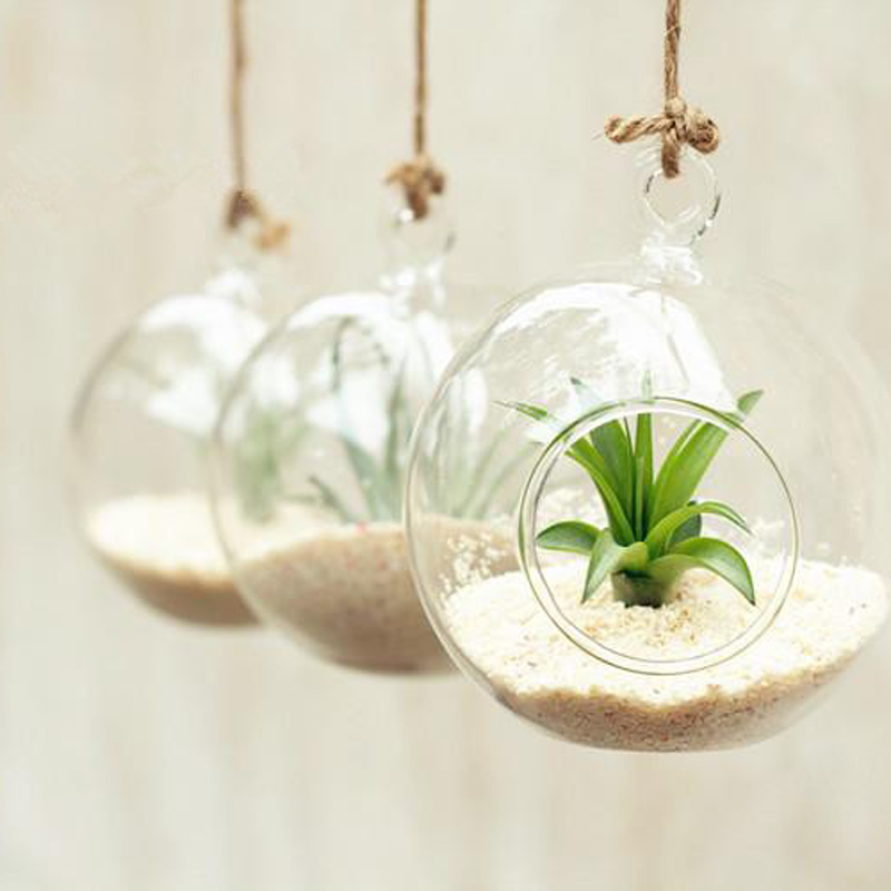 Clear Flower Hanging Ball Vase Planter Terrarium Container Borosilicate Glass - Image 6