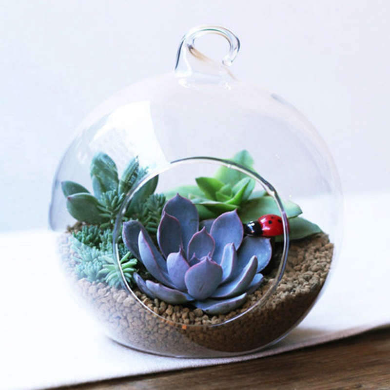 Clear Flower Hanging Ball Vase Planter Terrarium Container Borosilicate Glass - Image 8