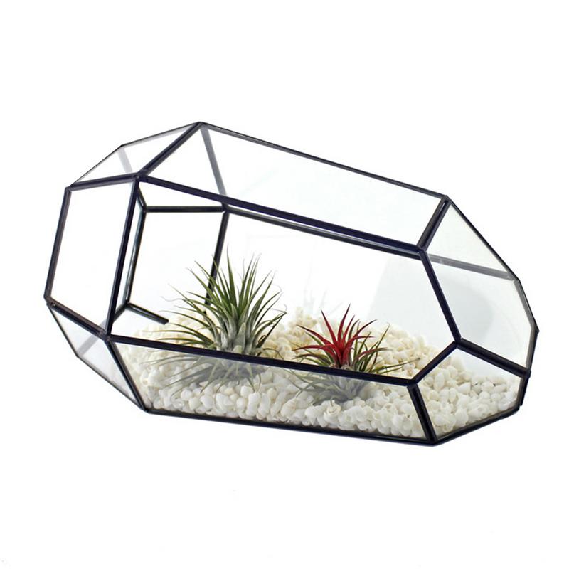 Closed Irregular Geometric Glass Terrarium Plant Pot with Door - Image 2