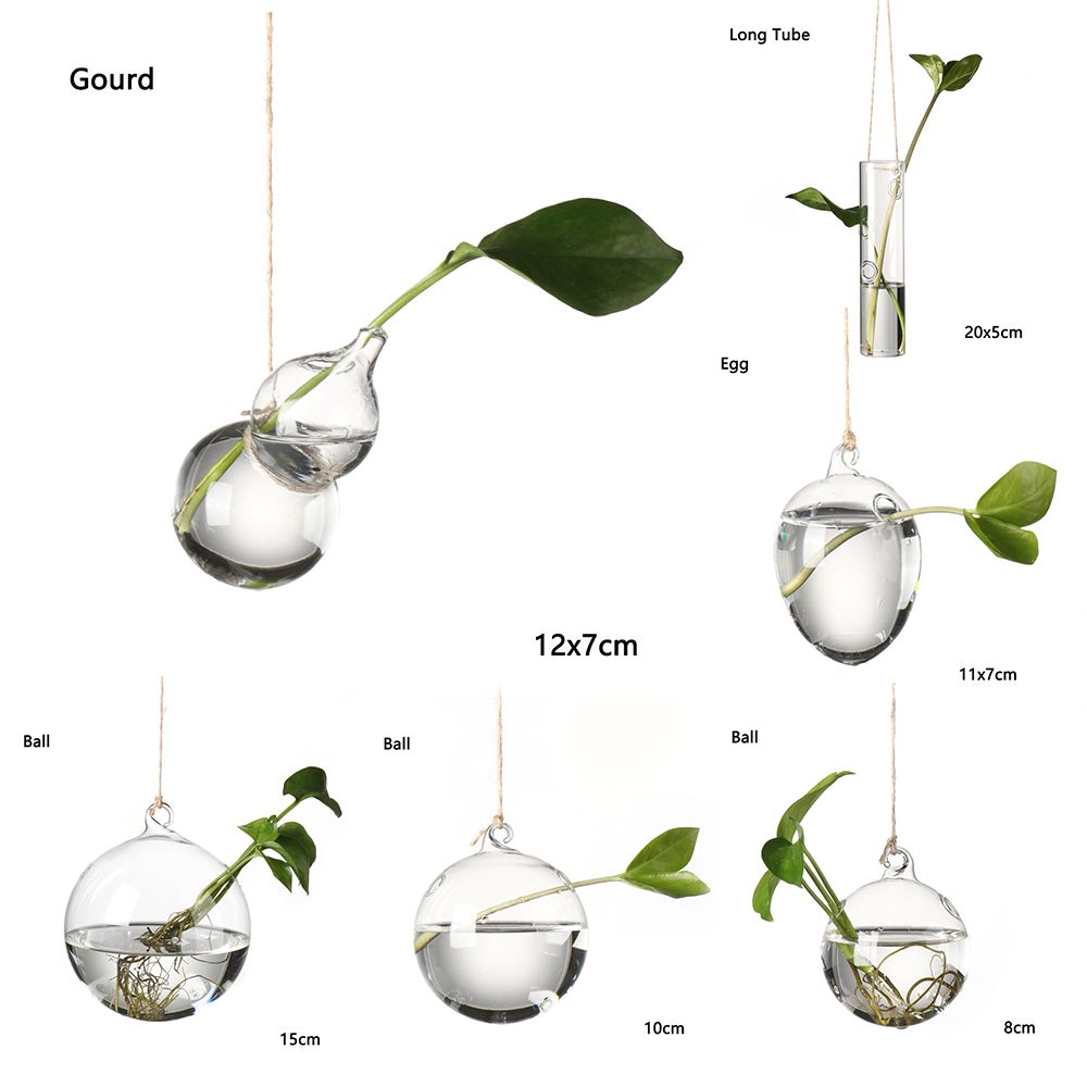 Creative Garden Hanging Glass Ball Vase Hydroponics Flower Plant Pot - Image 4