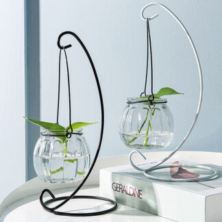 Hanging Glass Vase Creative Transparent Ornaments Hanging Bottle