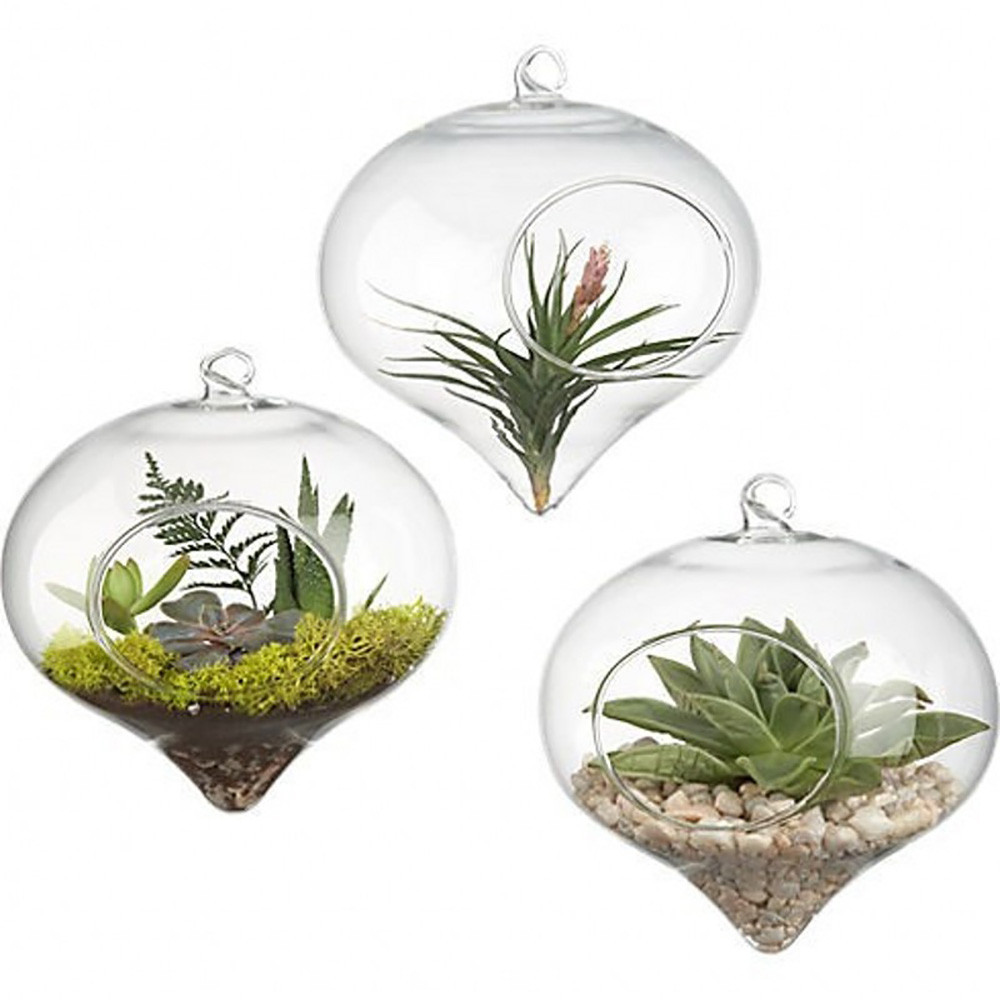 Hanging Succulent Terrarium Plant Vase Ball Shaped Home Decoration - Image 3