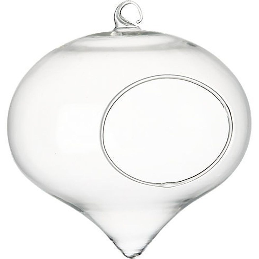 Hanging Succulent Terrarium Plant Vase Ball Shaped Home Decoration - Image 4