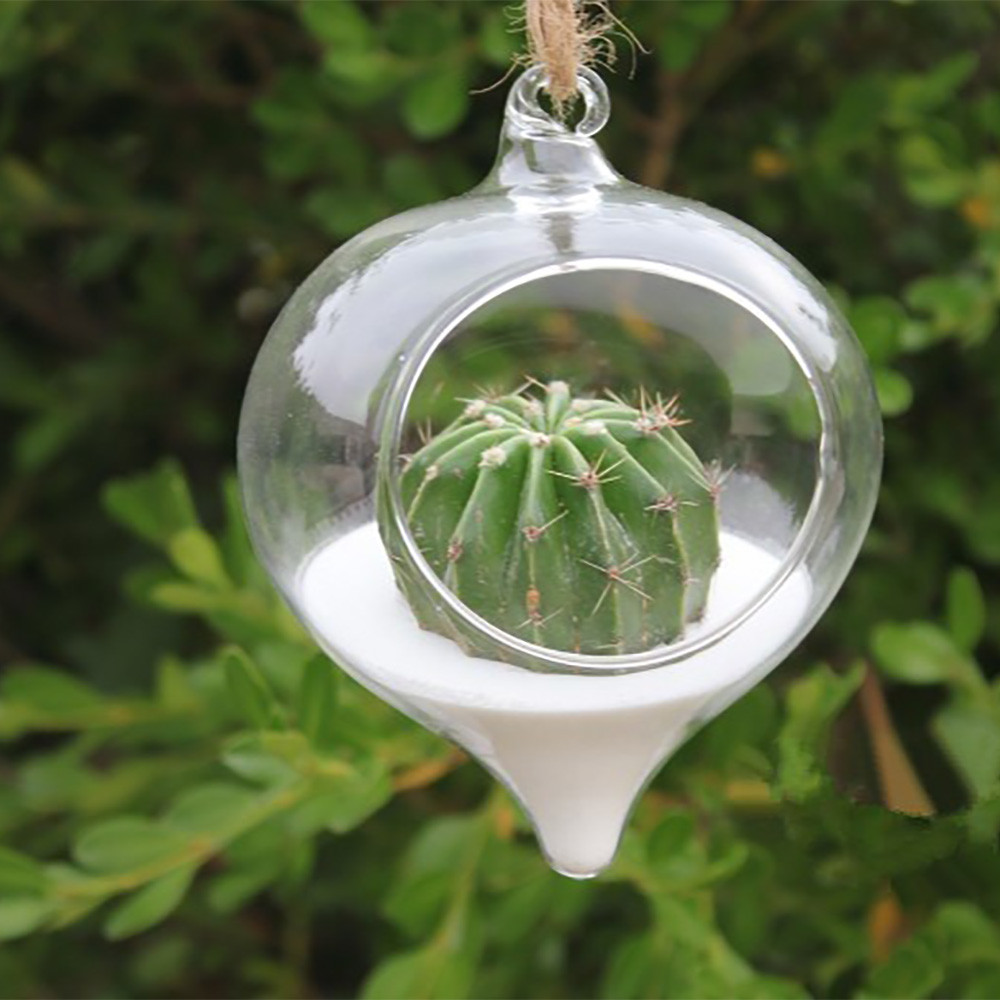 Hanging Succulent Terrarium Plant Vase Ball Shaped Home Decoration