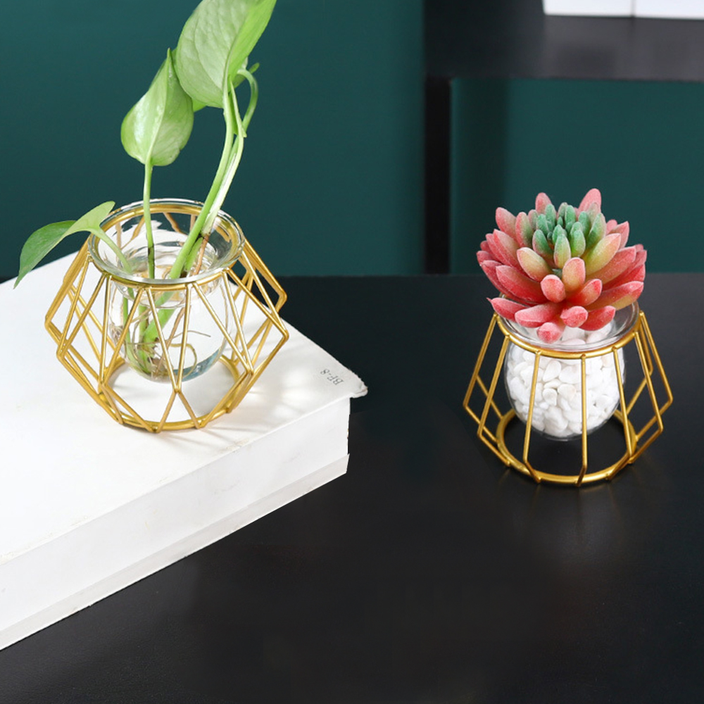 Hydroponic Plant Flower Iron Line Vase Nordic Golden Glass Vase - Image 4
